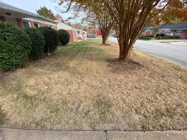 Lawn care project 56