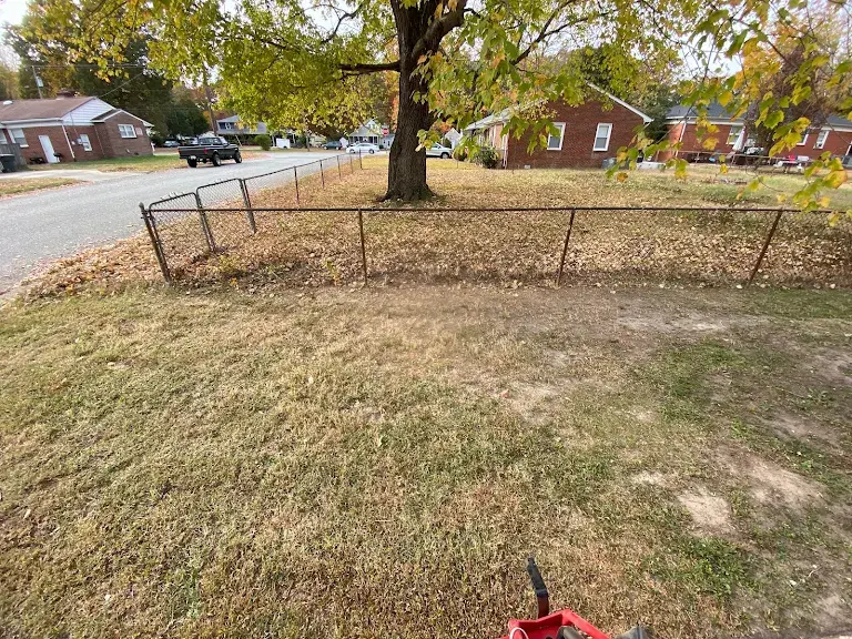 Lawn care project 57