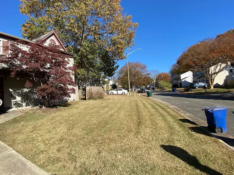 Lawn care project 58