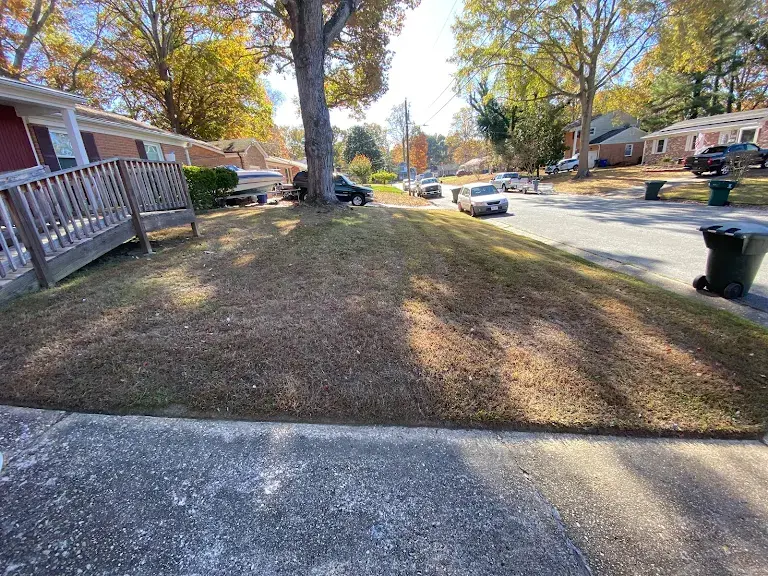 Lawn care project 59