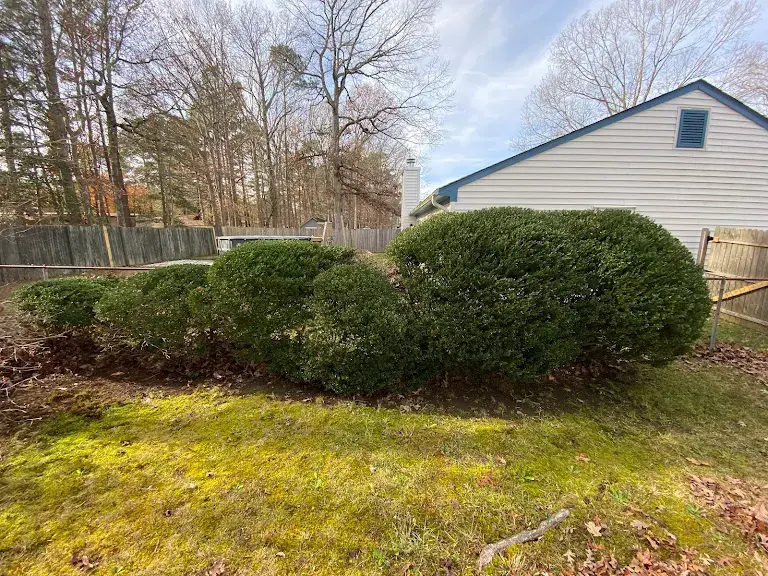 Lawn care project 60