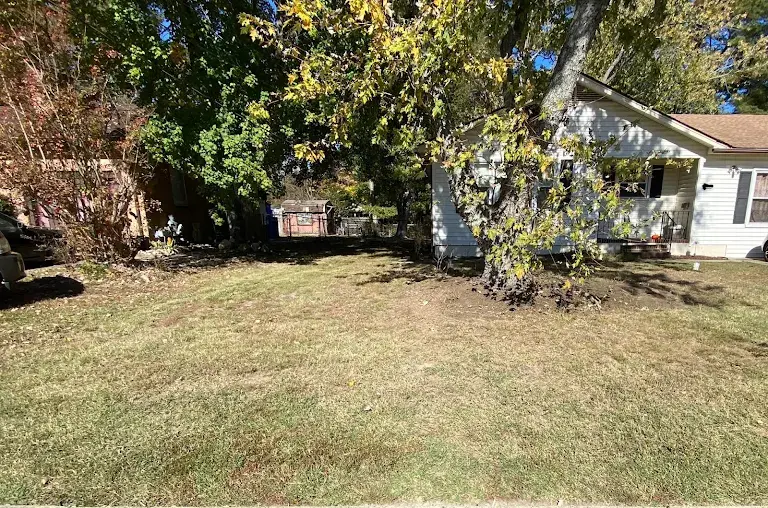 Lawn care project 61