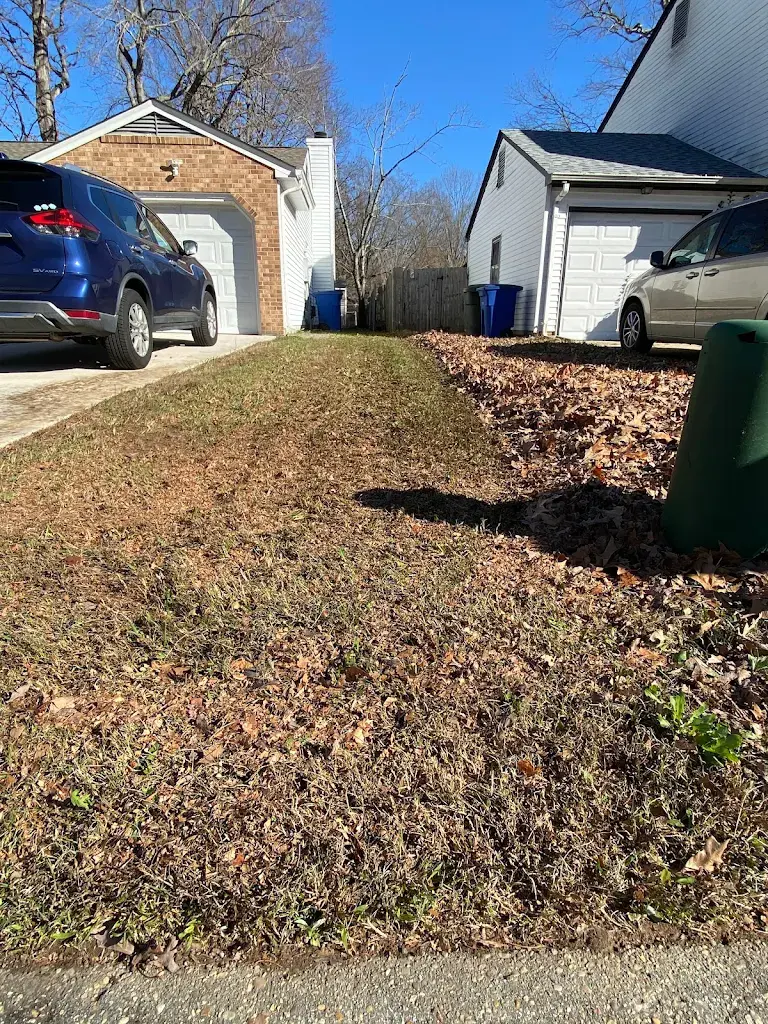 Lawn care project 65