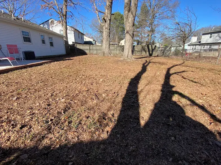 Lawn care project 66