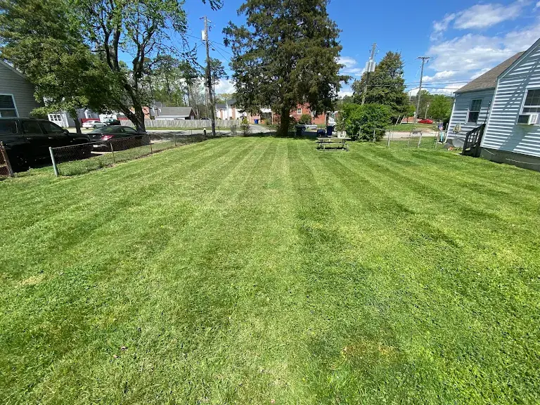 Lawn care project 74