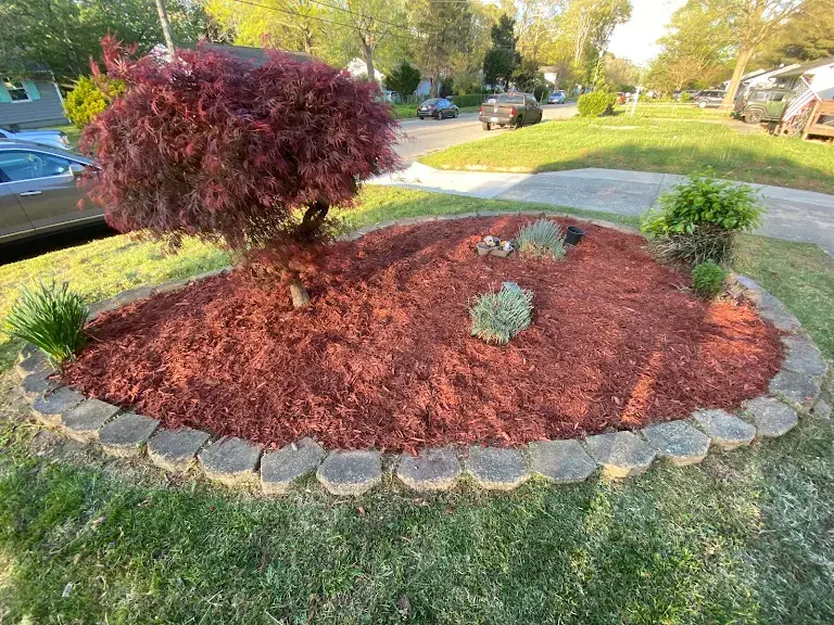 Lawn care project 75