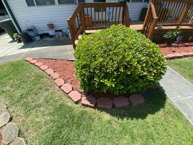 Lawn care project 77