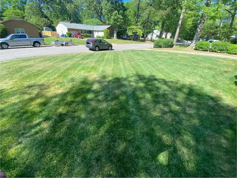 Lawn care project 78