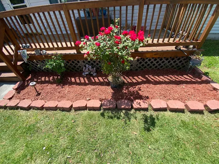 Lawn care project 79