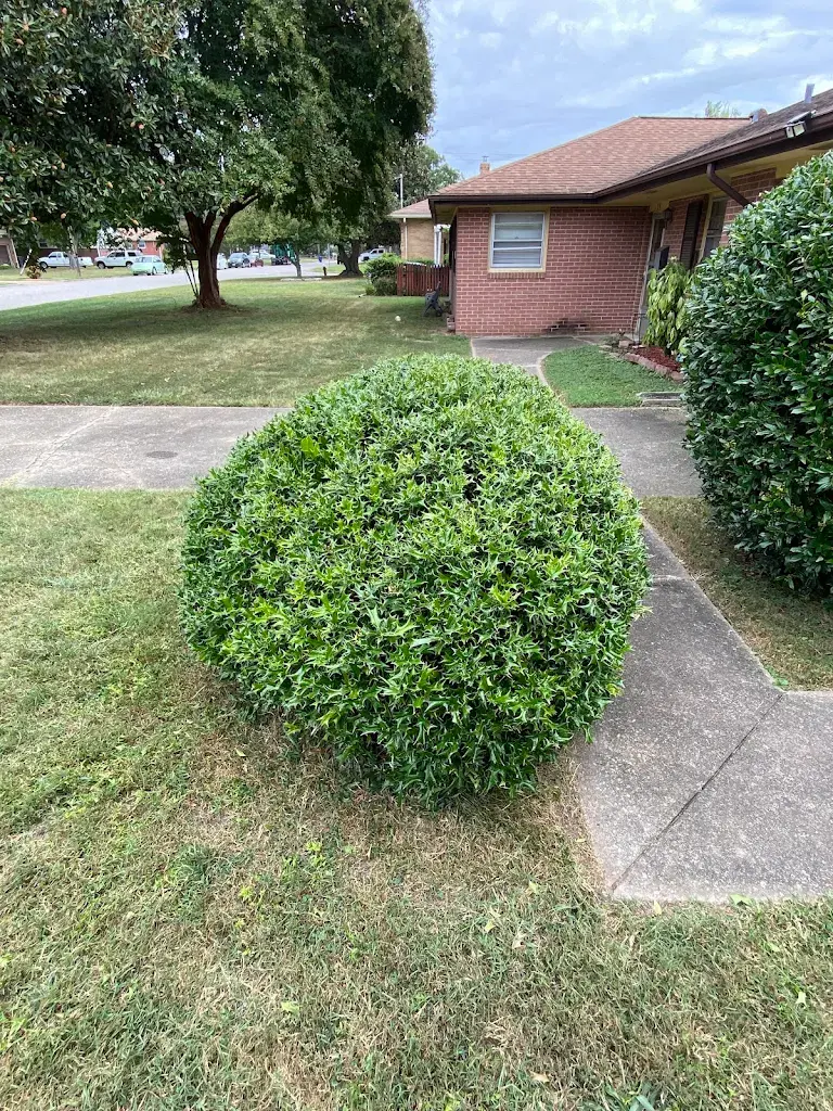 Lawn care project 83