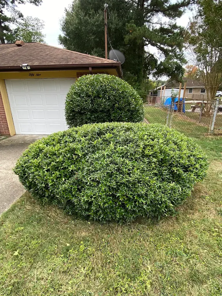 Lawn care project 84