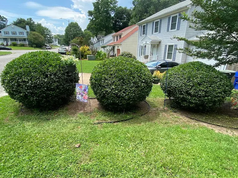 Lawn care project 88