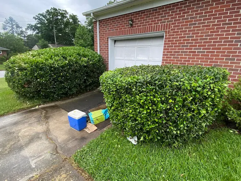 Lawn care project 90