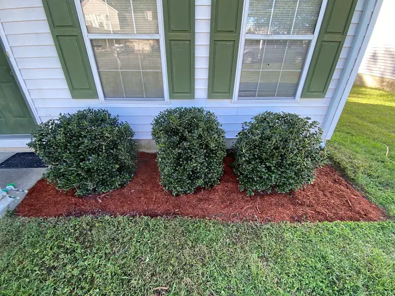 Lawn care project 91