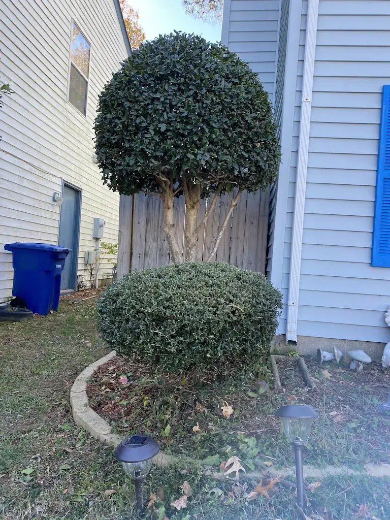 Lawn care project 93