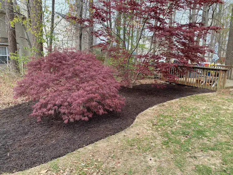 Lawn care project 94