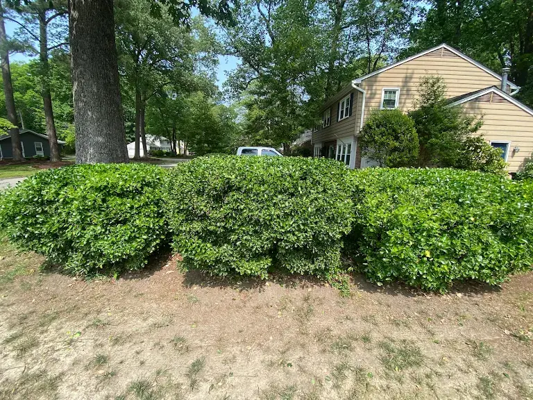 Lawn care project 51