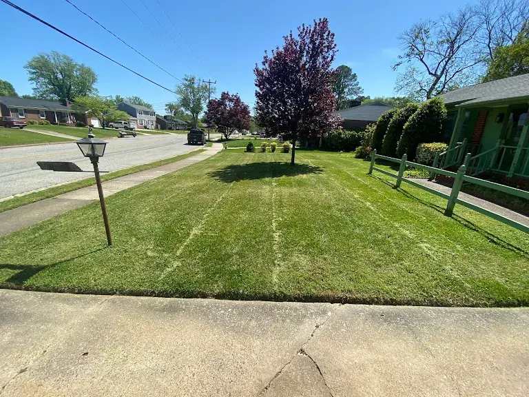 Lawn care project 52