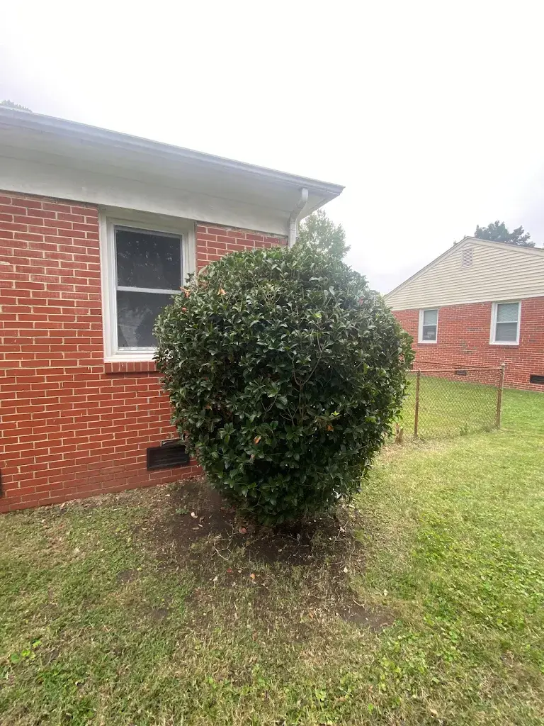 Lawn care project 53