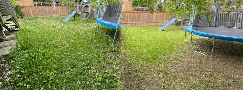 Lawn care project 10