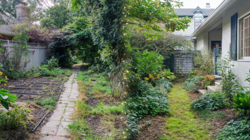 Lawn care project 12