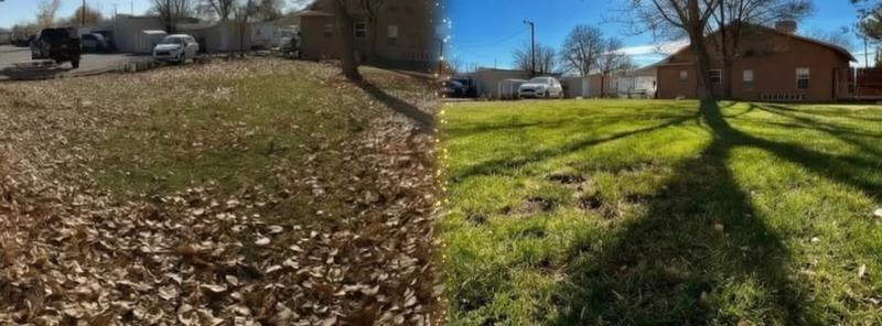 Lawn care project 13