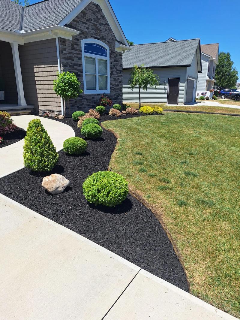 Lawn care project 20