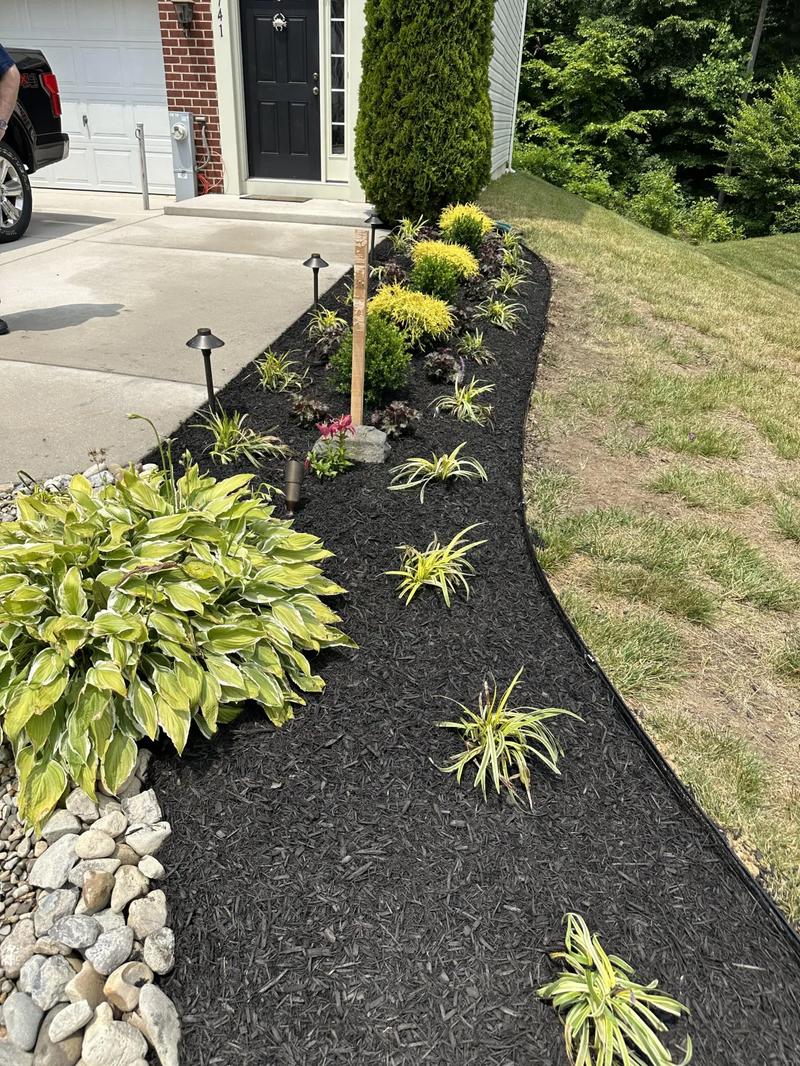 Lawn care project 23