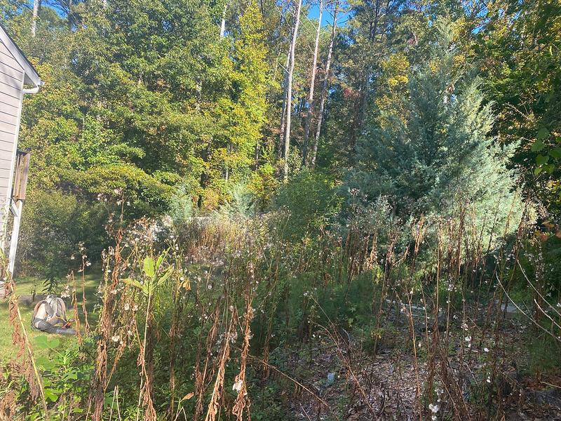 Lawn care project 40