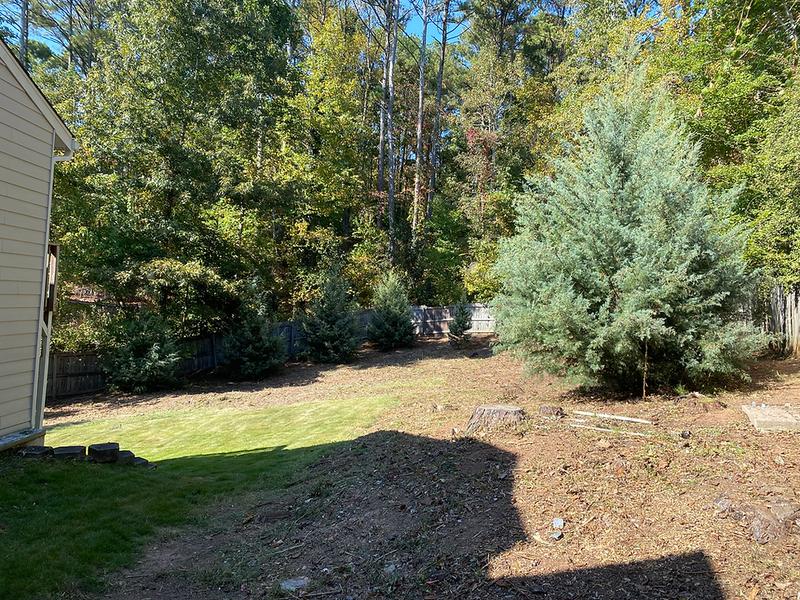 Lawn care project 41