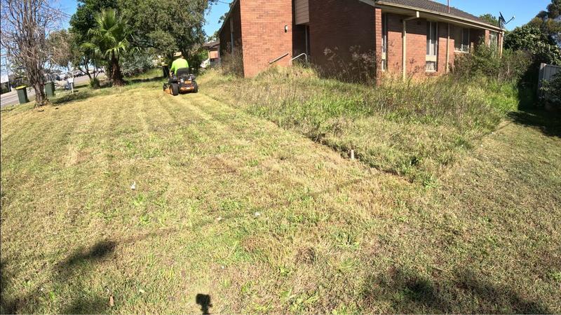 Lawn care project 42